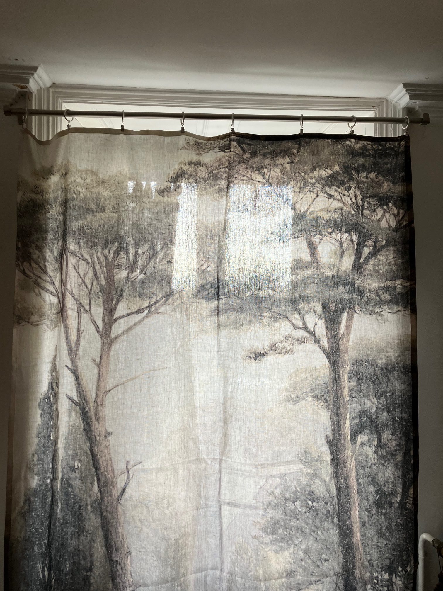 Murmure des forêts - Image 3