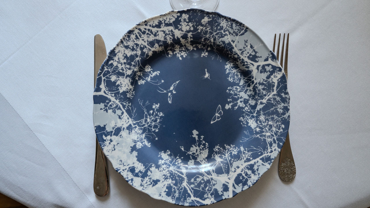 Le retour du printemps - Assiette bleue