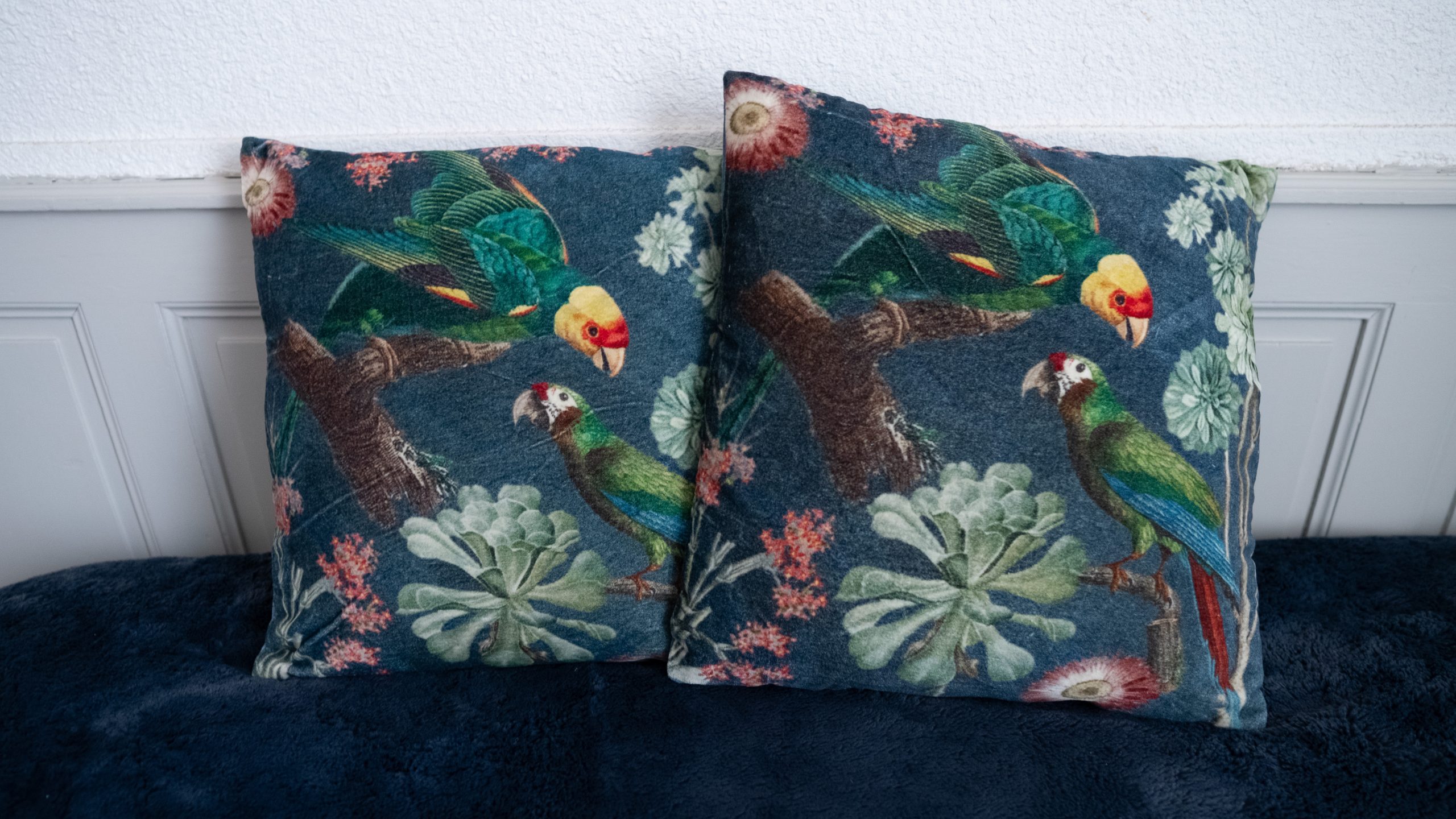 Coussins Le beau jardin