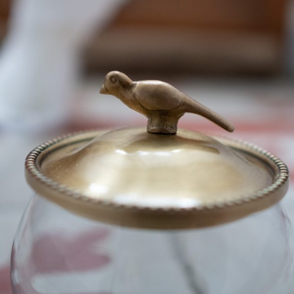 Boîte - Le chant de l'oiseau