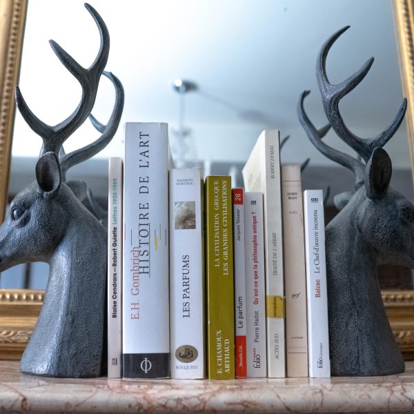 Serre-livres LE ROI DES FORETS