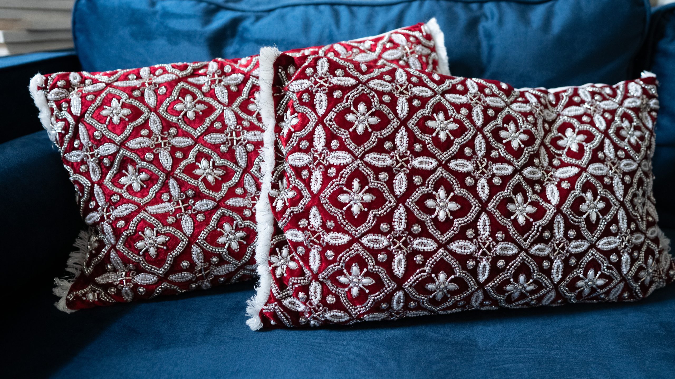 Coussins Jardin des Indes