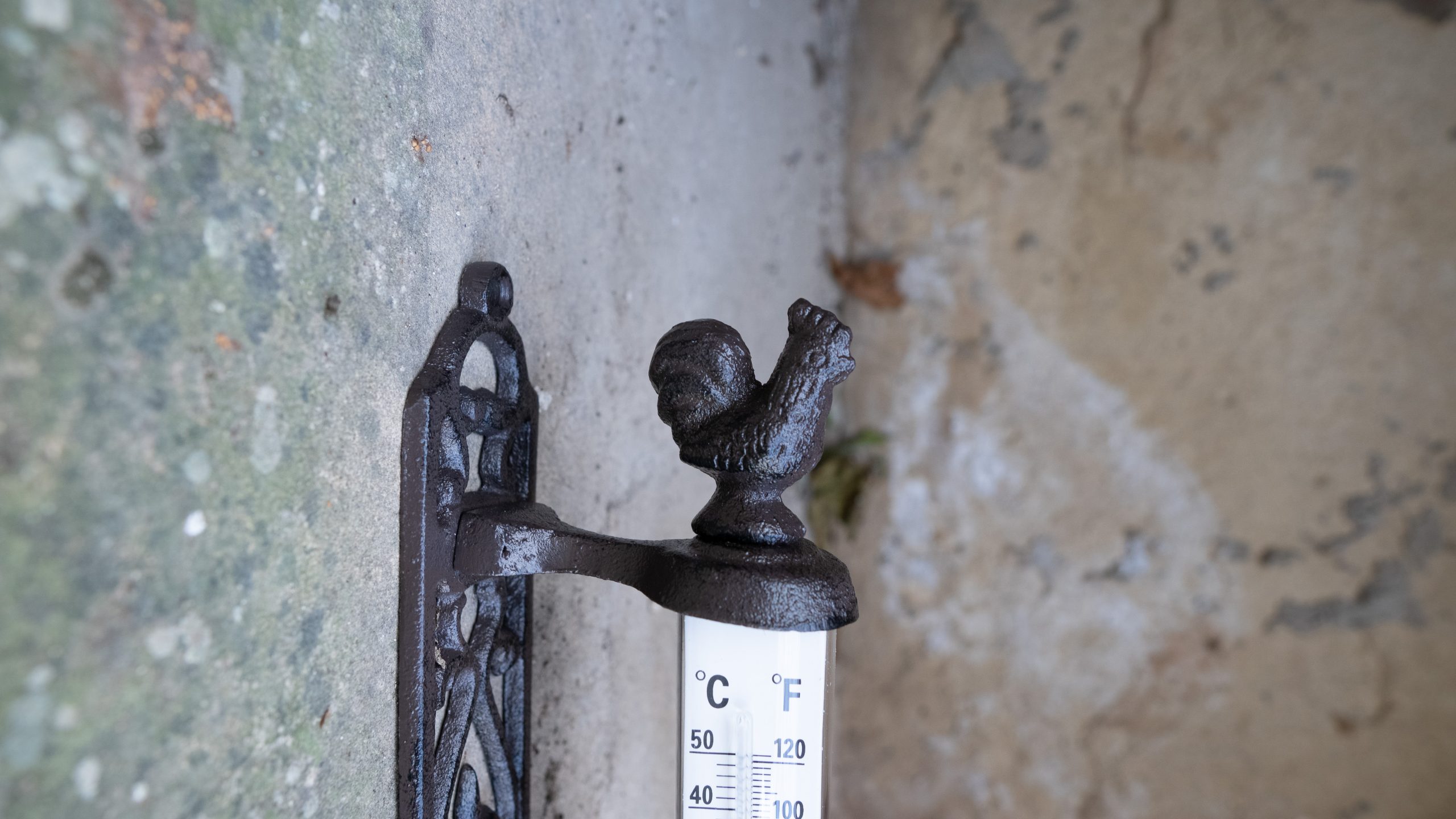 Thermomètre Ma vie à la campagne – Image 3