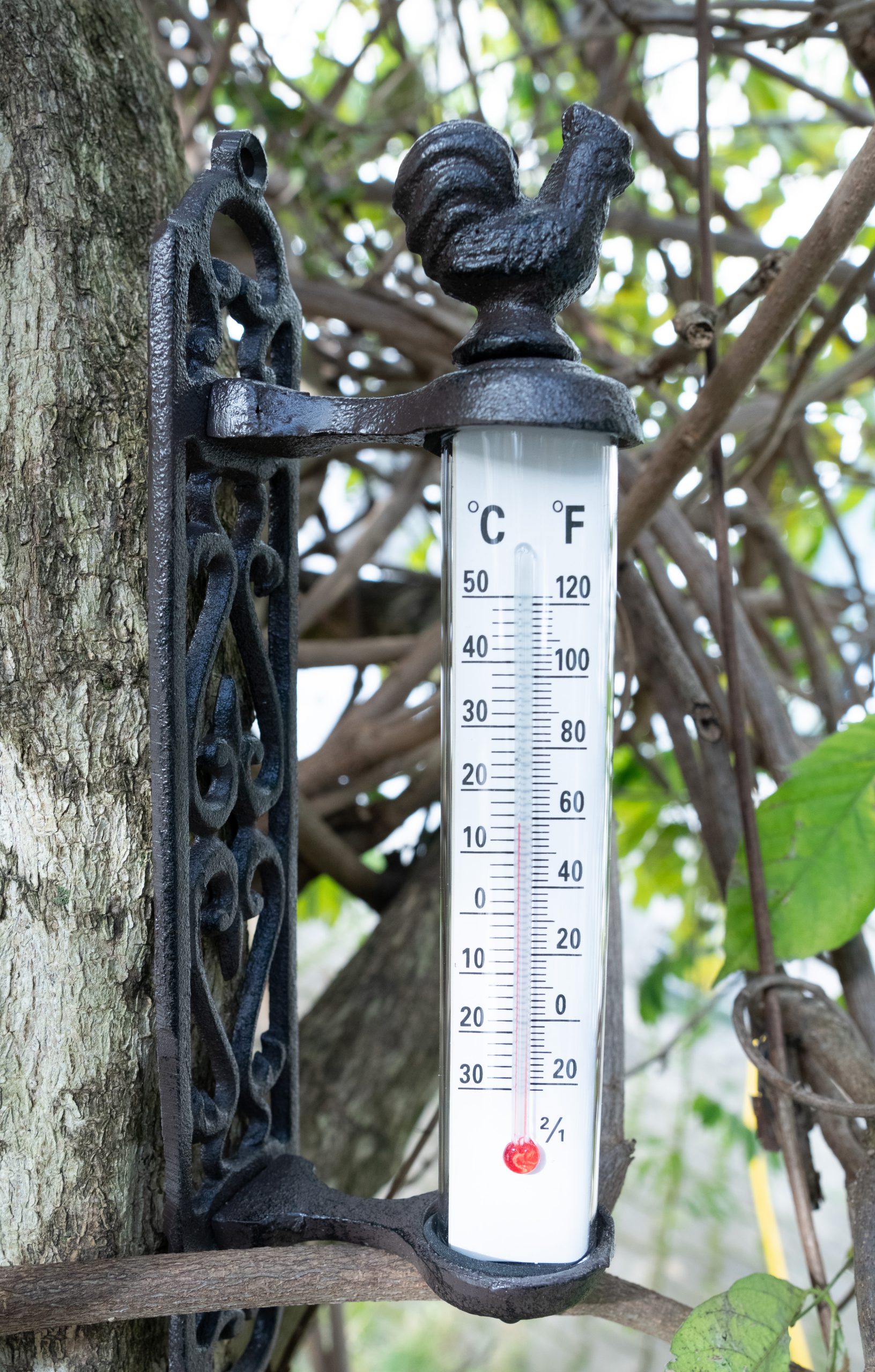 Thermomètre Ma vie à la campagne