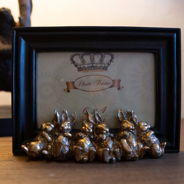 Cadre lapins joyeux.